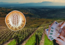 Τιμολόγια από εταιρείες-φαντάσματα εξέδιδε 71χρονος για παράνομες επιδοτήσεις από τον ΟΠΕΚΕΠΕ