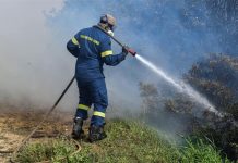 Φωτιά στο Άλσος Βεΐκου: Συνελήφθη ο 45χρονος μελισσοκόμος – Το «τσουχτερό» πρόστιμο
