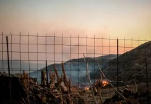 Εκτός ελέγχου η φωτιά στο Ρέθυμνο, μάχη να σωθούν κατοικίες – Μέτωπα και σε Σητεία, Μυτιλήνη