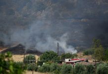 Κεφαλονιά: Χωρίς ενεργό μέτωπο η πυρκαγιά – Διακοπή της ηλεκτροδότησης σε πέντε περιοχές