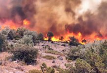 Πύρινος εφιάλτης στη Δυτική Αττική: Μάχη για να σωθούν οικισμοί – Φλόγες μέσα στην Αγία Σκέπη Βιλίων