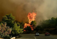 Σε πολύ υψηλό κίνδυνο εκδήλωσης πυρκαγιάς σήμερα Δευτέρα Αττική, Βοιωτία και Εύβοια