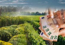 ΑΑΔΕ: Άνοιξε η πλατφόρμα για αγροτικές ενισχύσεις – Δικαιούχοι και ποσά