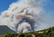 Καλύτερη η εικόνα της πυρκαγιάς στην Αττική – «Επί 30 ώρες δεν είχαμε εναέρια μέσα» λέει ο Γ. Αρτοποιός