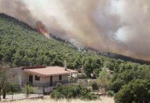 Αναστολή λειτουργίας του αιολικού πάρκου από όπου ξεκίνησε η πυρκαγιά στη Βοιωτία