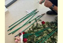 Επιχείρηση «Τα άνθη του κακού»: Κύκλωμα έκρυβε 84 κιλά κοκαΐνης μέσα σε τριαντάφυλλα