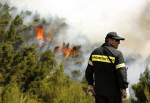 Ανεξέλεγκτη καίει ακόμη η φωτιά στο Σουφλί – Ενισχύθηκαν οι εναέριες και επίγειες δυνάμεις
